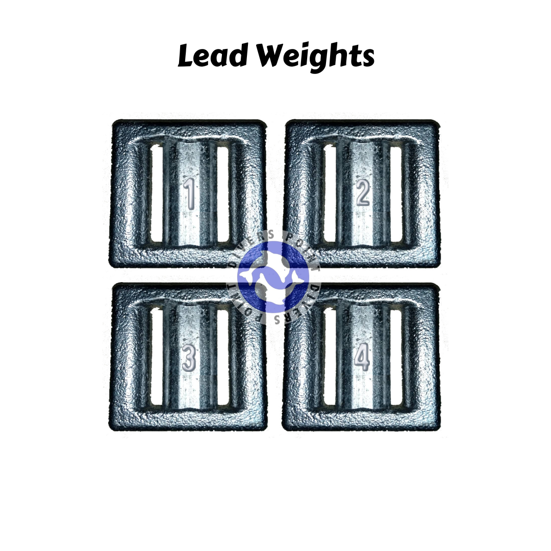 DP LEAD WEIGHTS